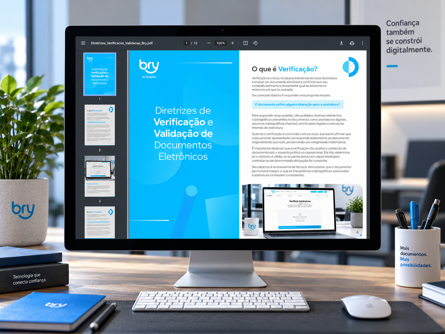 Diretrizes Técnicas Bry — detalhe 6