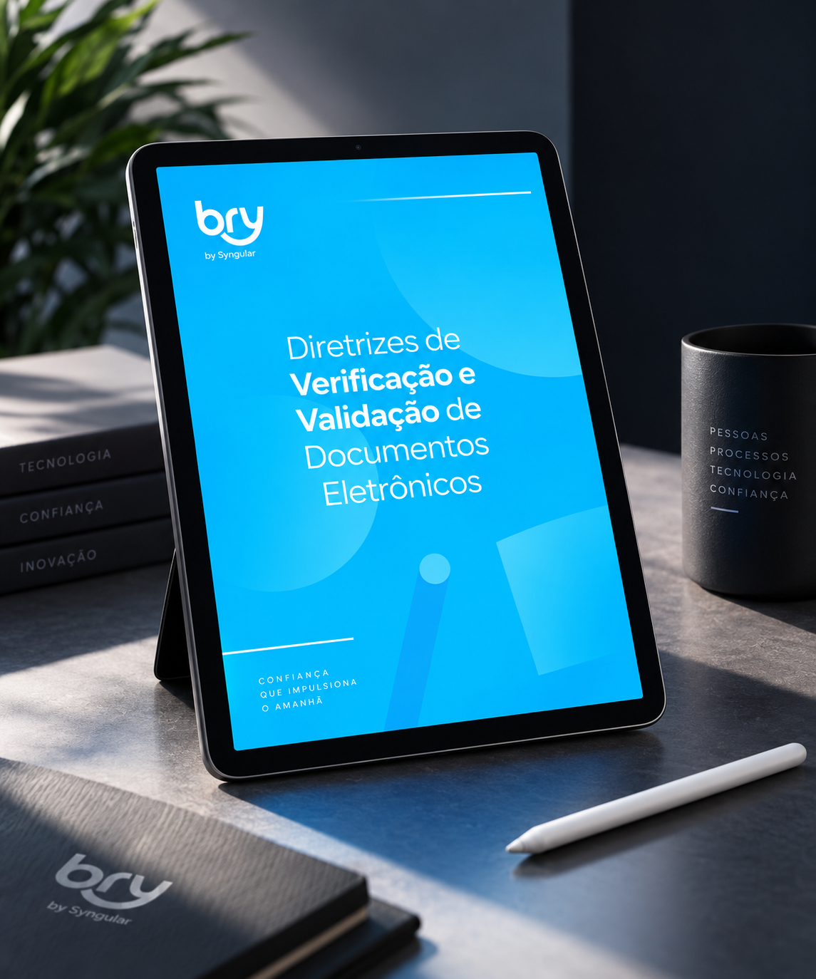 Diretrizes Técnicas Bry — detalhe 2