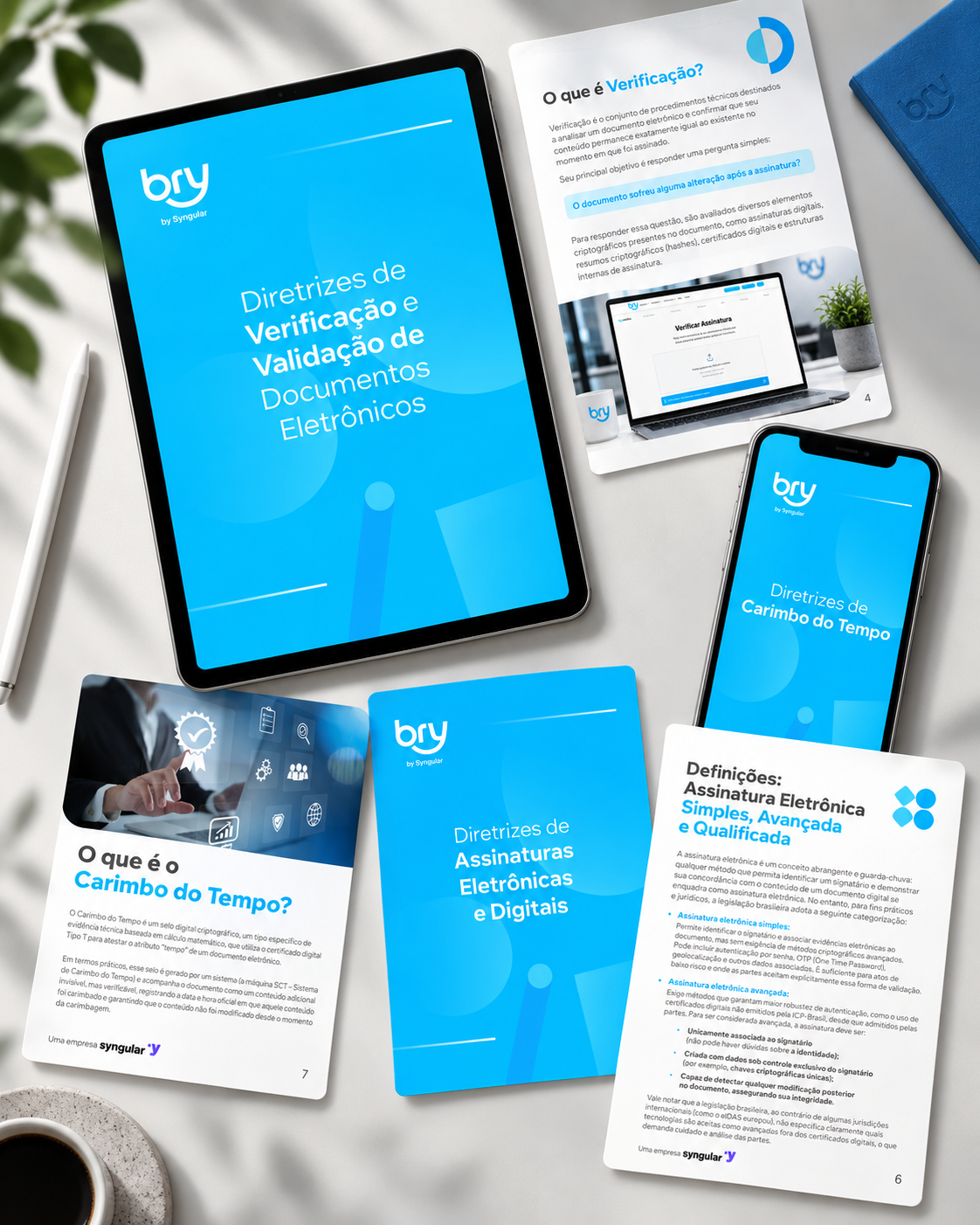 Diretrizes Técnicas Bry — detalhe 9