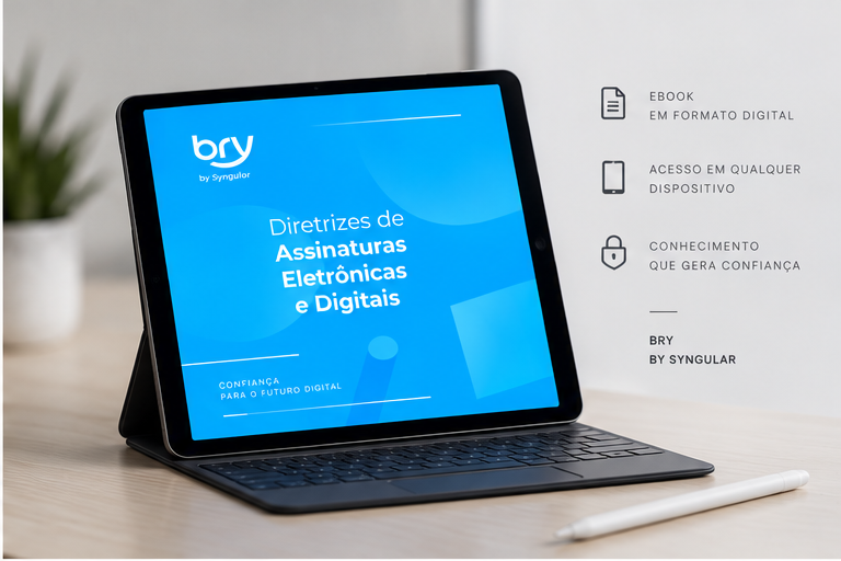 Diretrizes Técnicas Bry — ponto de contato 2