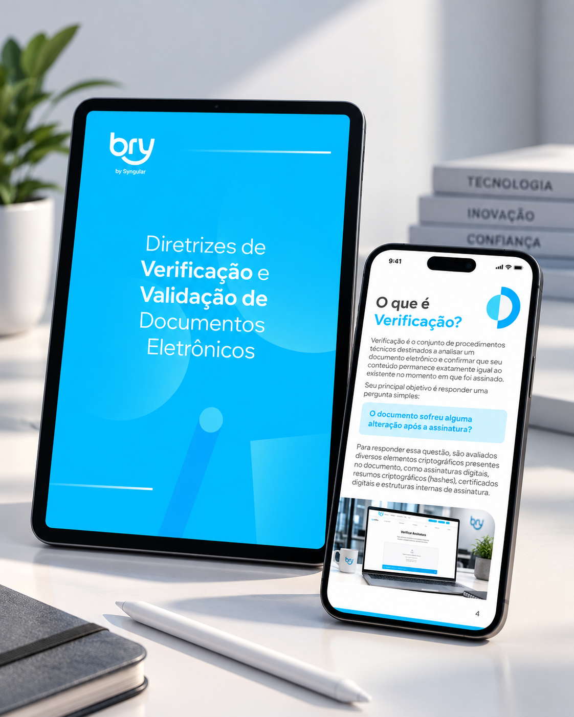 Diretrizes Técnicas Bry — detalhe 4