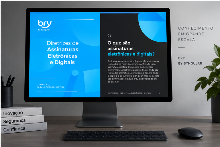 Diretrizes Técnicas Bry — detalhe 1