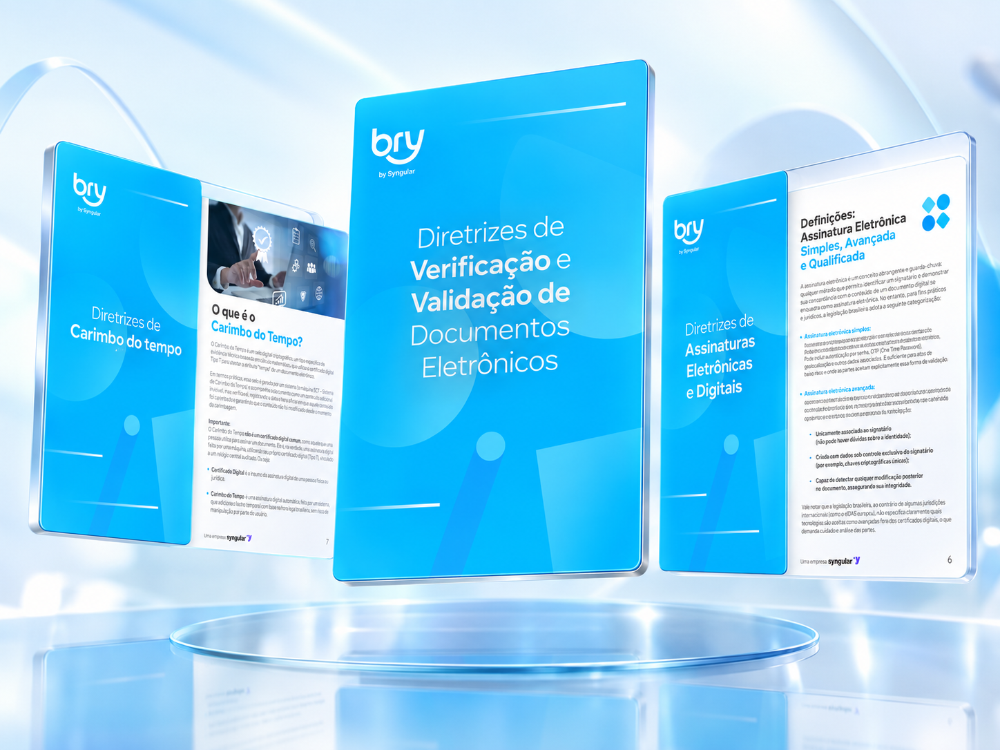 Diretrizes Técnicas Bry — detalhe 7